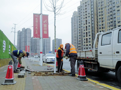 春节期间,郑州市政“立刻办”不停休确保市政设施良好